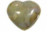 Polished Orca Agate Heart - Madagascar #210202-1